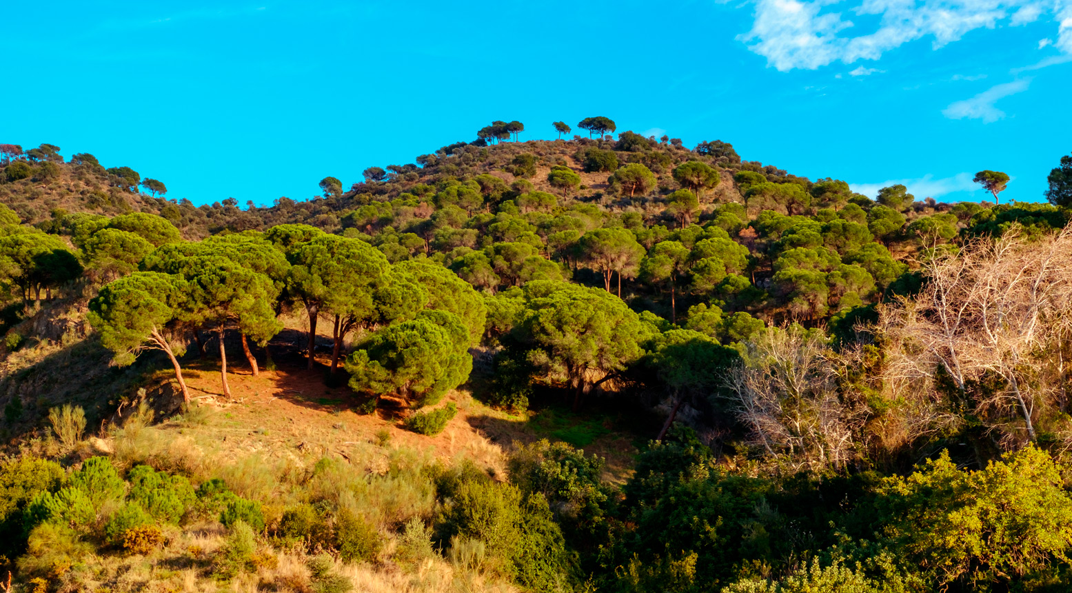 Los Montes de Málaga, el pulmón verde de la ciudad