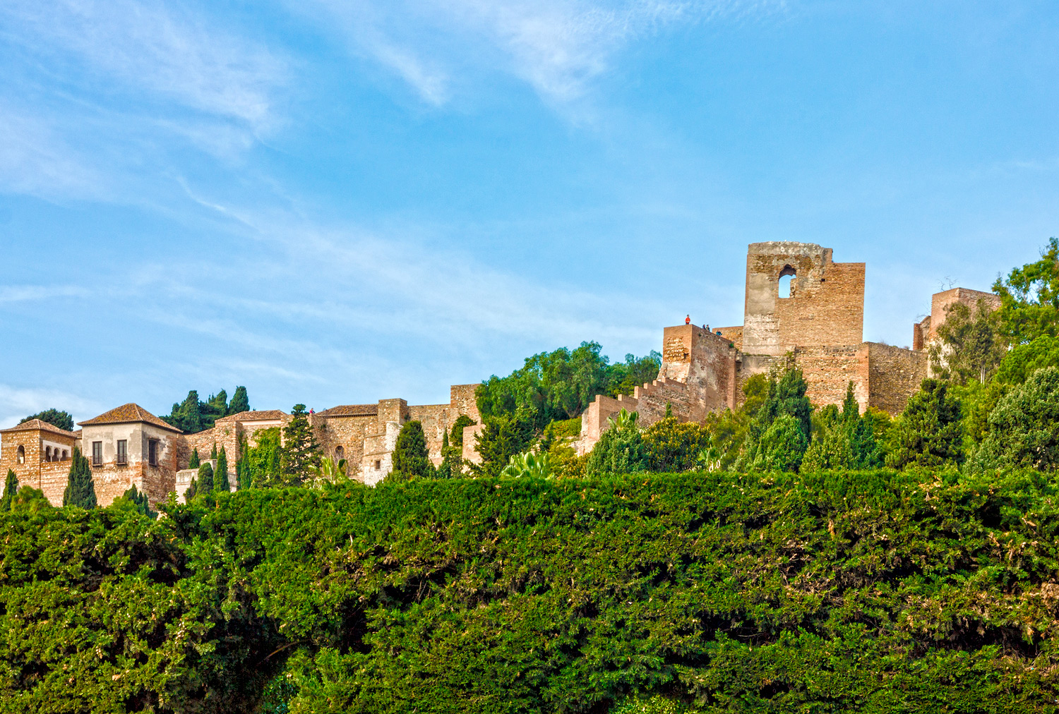 Castillo de Gibralfaro Entorno Hotel Palacete de Álamos Málaga