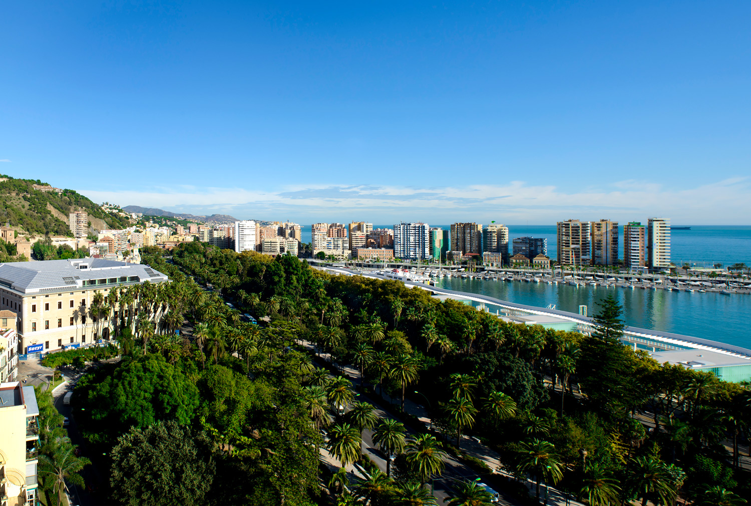 Parque de Málaga Entorno Hotel Palacete de Álamos Málaga